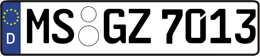 MS-GZ7013
