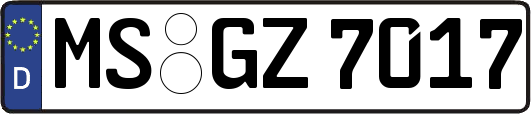 MS-GZ7017