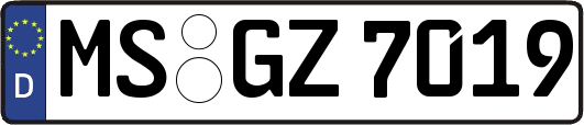 MS-GZ7019