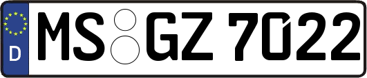 MS-GZ7022