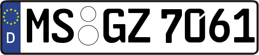 MS-GZ7061
