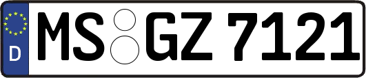 MS-GZ7121