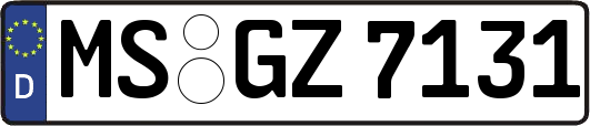 MS-GZ7131