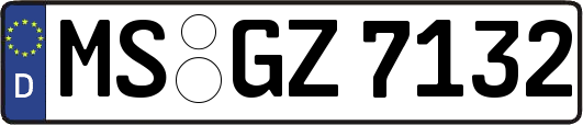 MS-GZ7132