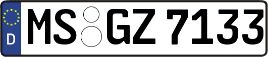 MS-GZ7133