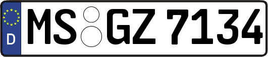 MS-GZ7134