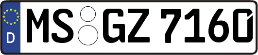 MS-GZ7160