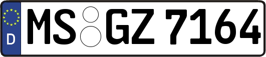 MS-GZ7164