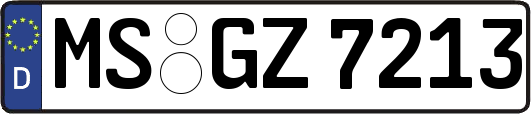 MS-GZ7213