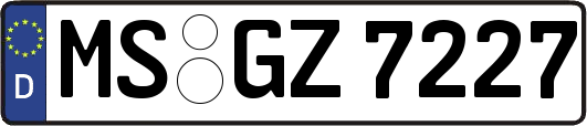 MS-GZ7227