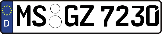 MS-GZ7230