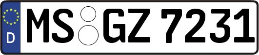 MS-GZ7231