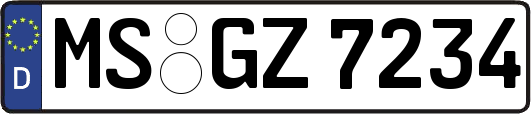 MS-GZ7234