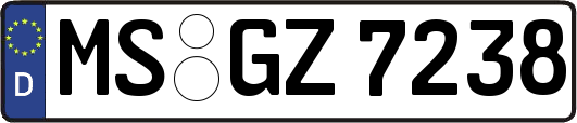 MS-GZ7238