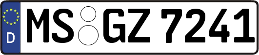 MS-GZ7241