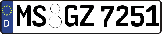 MS-GZ7251