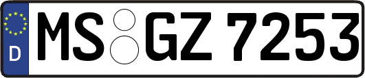 MS-GZ7253