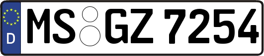 MS-GZ7254