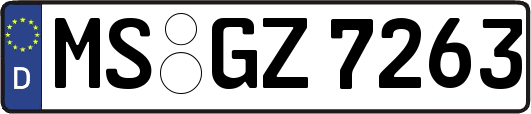 MS-GZ7263