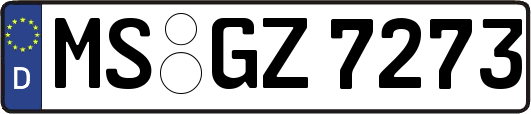 MS-GZ7273