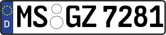 MS-GZ7281