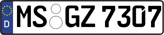 MS-GZ7307