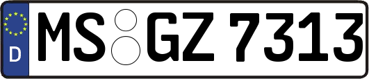 MS-GZ7313