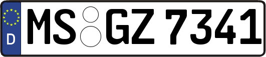 MS-GZ7341