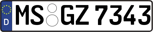 MS-GZ7343