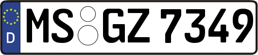 MS-GZ7349