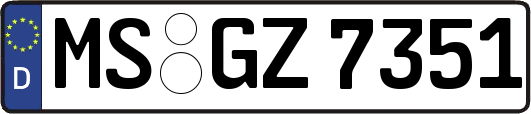 MS-GZ7351