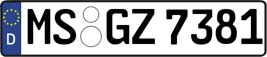 MS-GZ7381