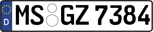 MS-GZ7384
