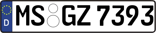MS-GZ7393