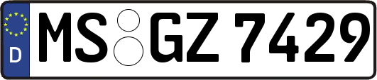 MS-GZ7429