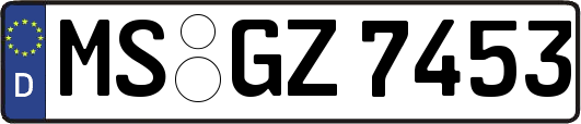 MS-GZ7453