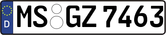 MS-GZ7463