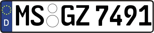 MS-GZ7491