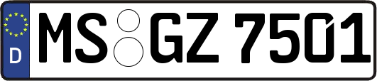 MS-GZ7501