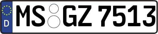 MS-GZ7513