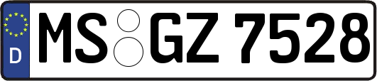 MS-GZ7528