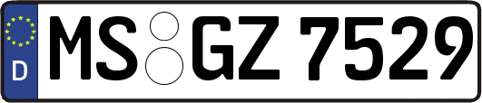 MS-GZ7529