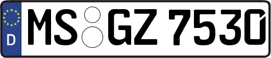 MS-GZ7530