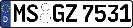 MS-GZ7531