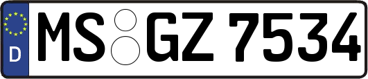 MS-GZ7534