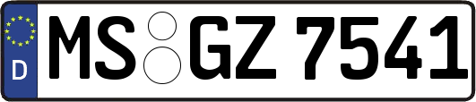 MS-GZ7541
