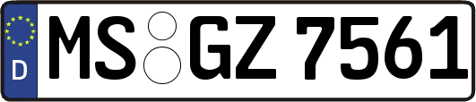 MS-GZ7561