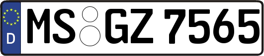 MS-GZ7565