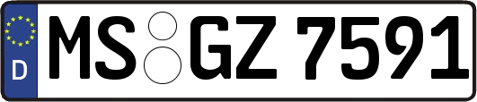 MS-GZ7591
