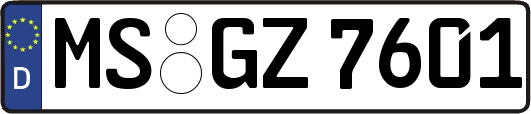 MS-GZ7601